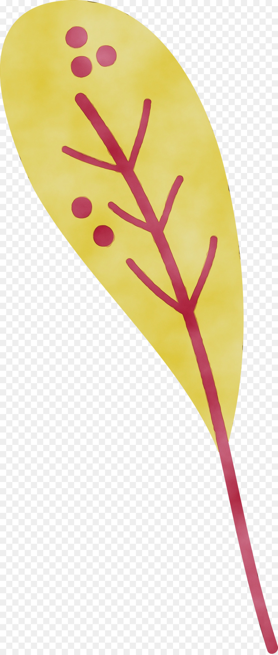 Blatt gelb line Biologie Pflanzen - 