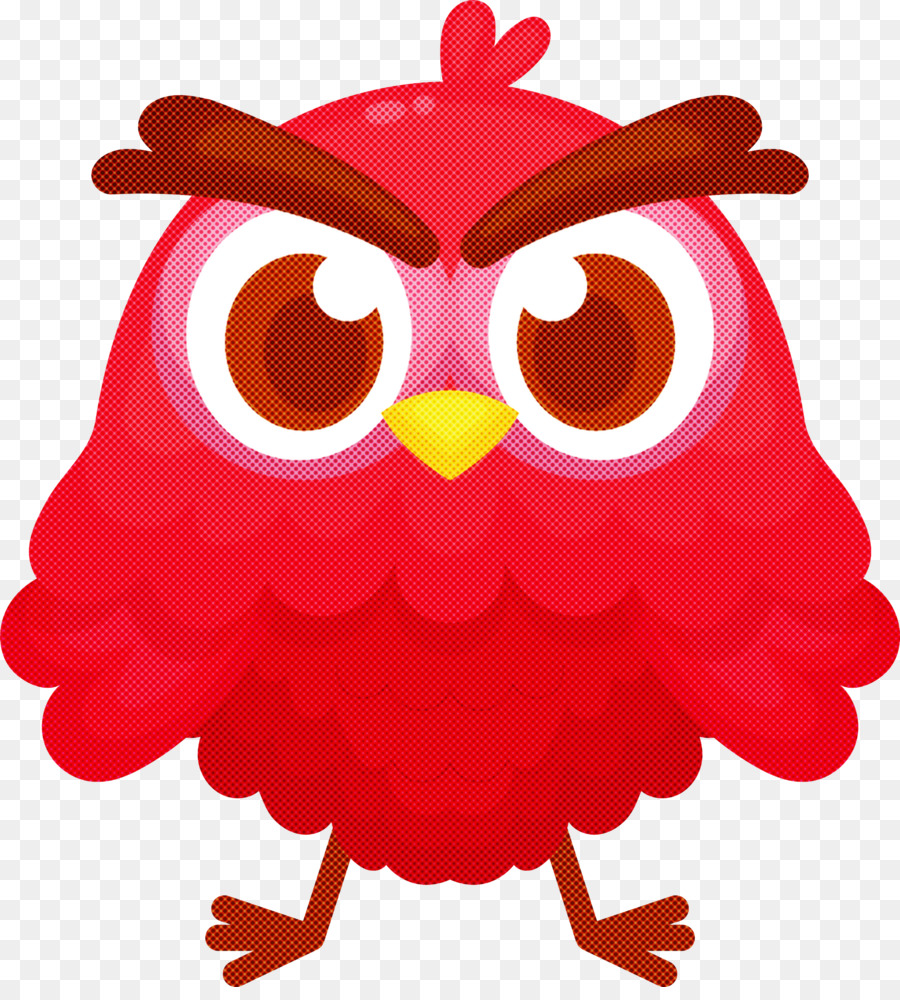 Eulen Vögel eastern screech owl great horned owl schnabel - 