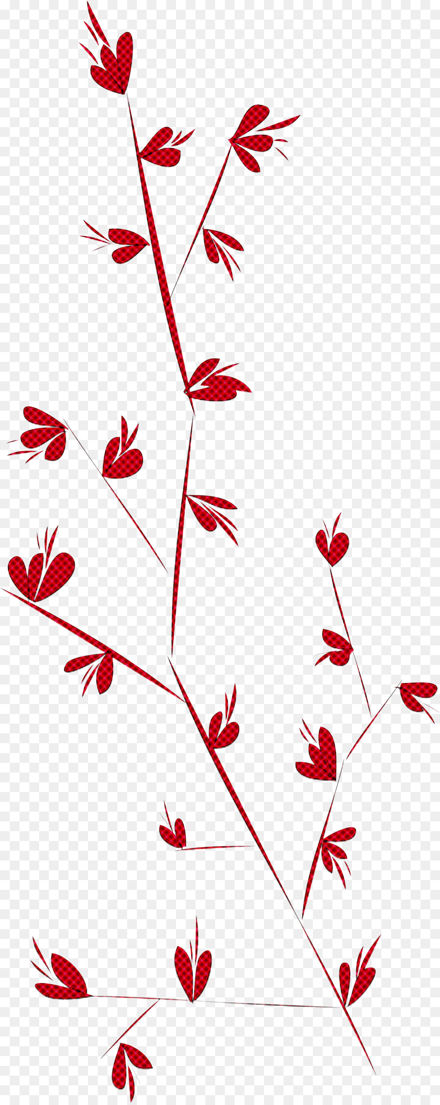 simple leaf simple leaf drawing simple leaf outline