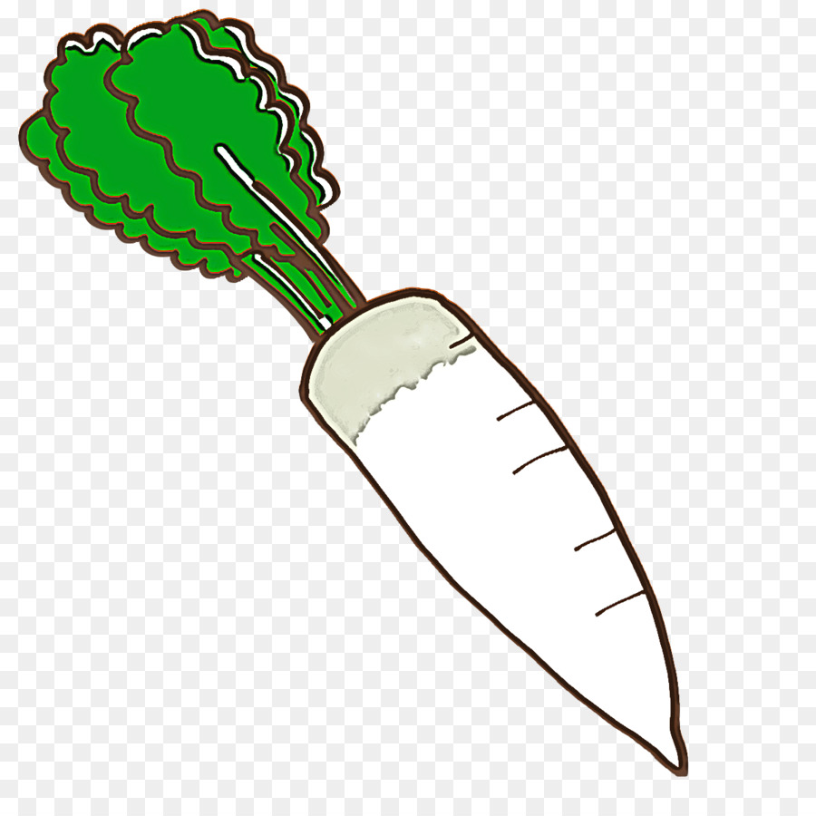 fresh vegetable