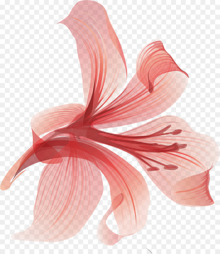 lily fiore - 