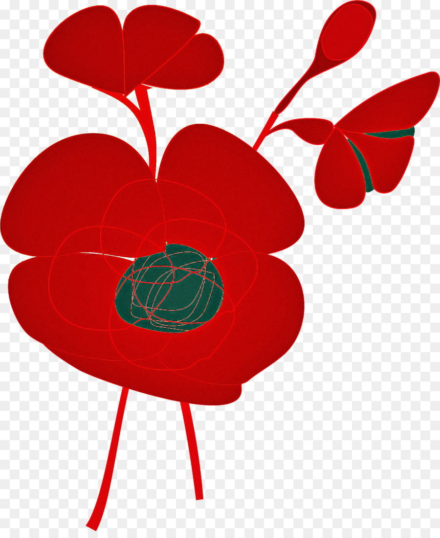 Fiore rosso del papavero Fiore del papavero - 