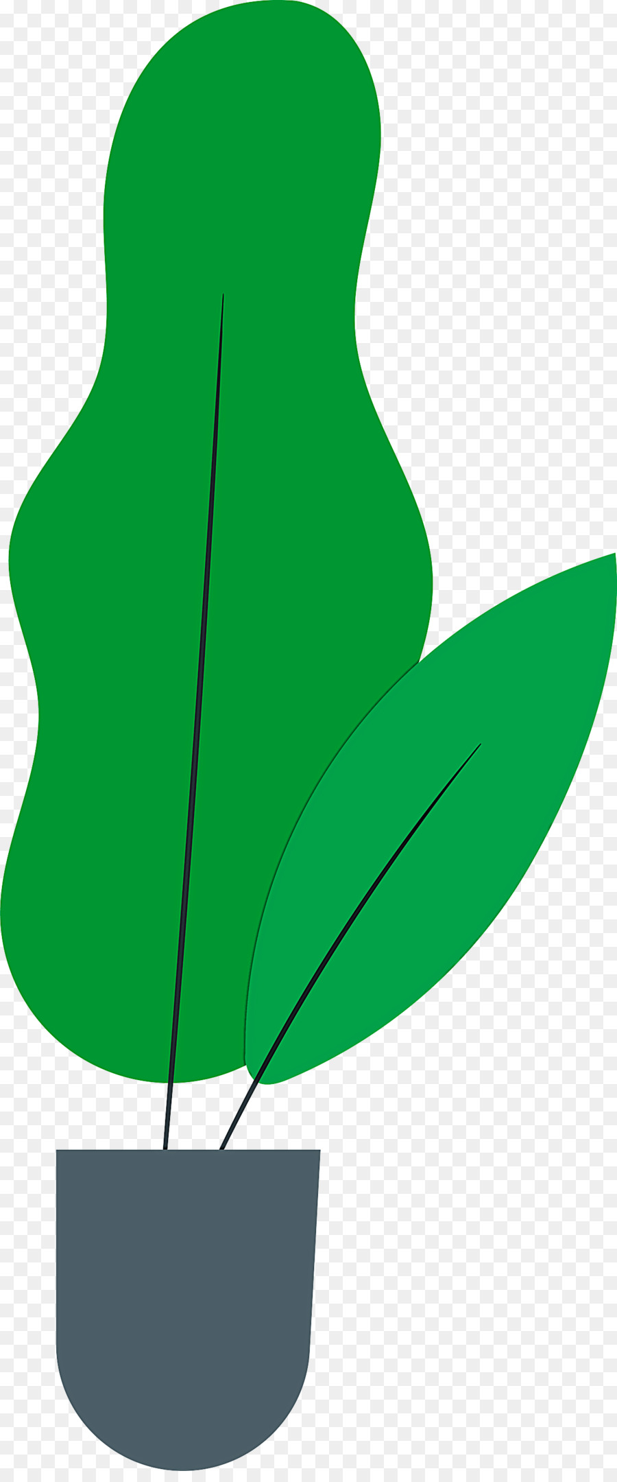 Blatt, pflanze, Stängel Blume, Zweig, Blütenblatt - 