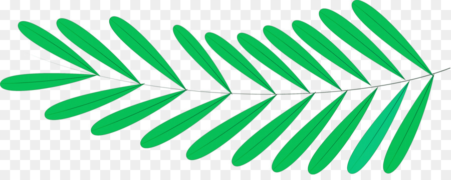 leaf plant stem angle line point