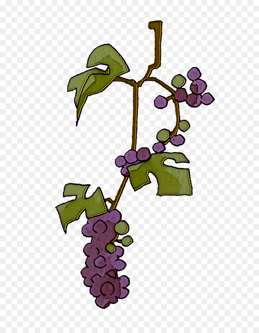 Traube Weinrebe Wein weintraube Blätter - 