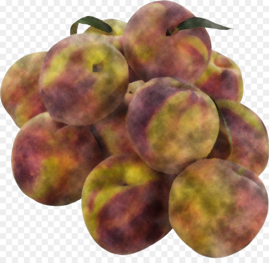 peach plum local food apple
