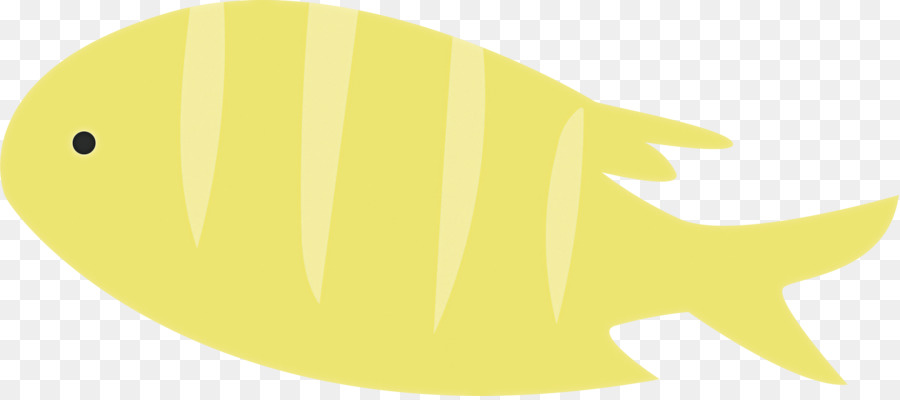 yellow meter fish fruit biology