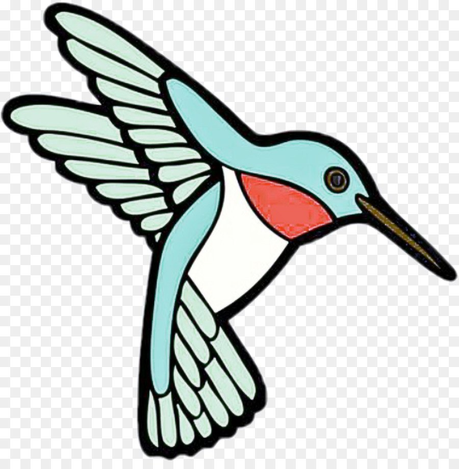 colibrì becco - 