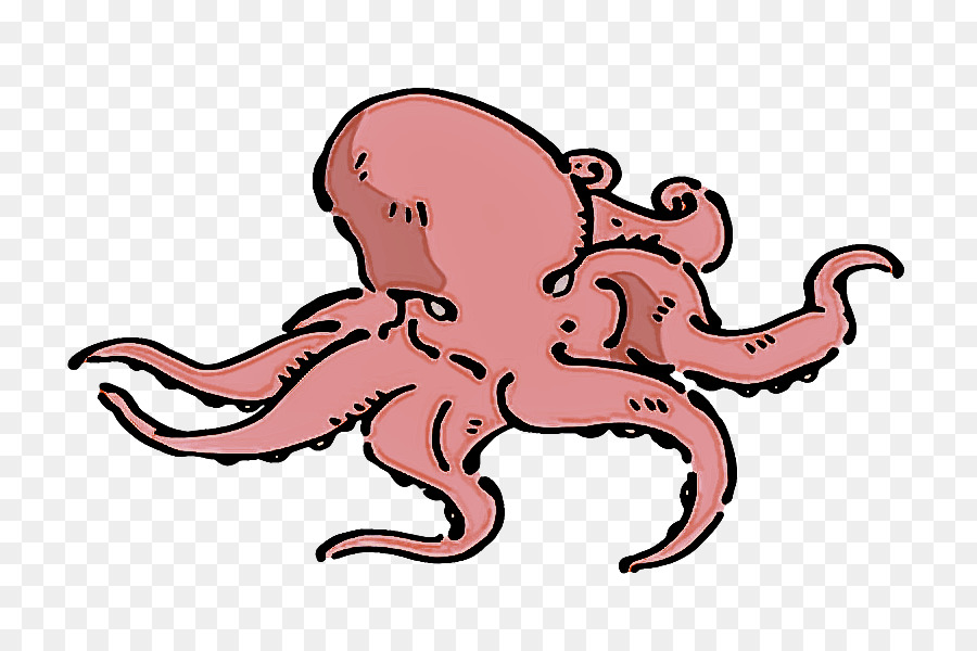 octopus cartoon line art giant pacific octopus watercolor painting png  download - 800*600 - Free Transparent Octopus png Download. - CleanPNG /  KissPNG