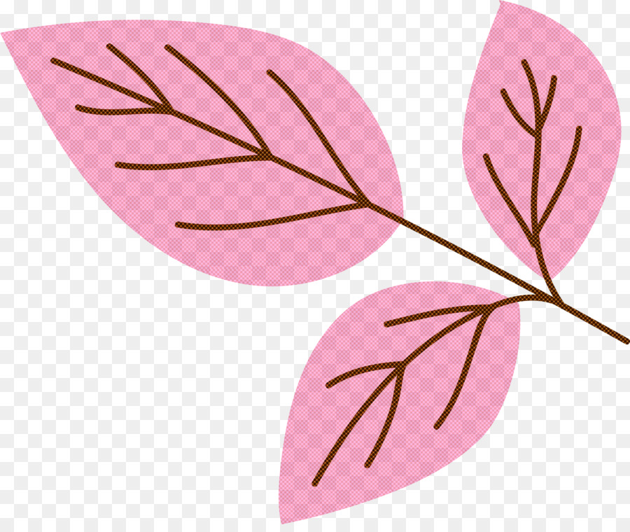 Blütenblatt Blatt, Pflanzen, pflanze, Struktur Biologie - 