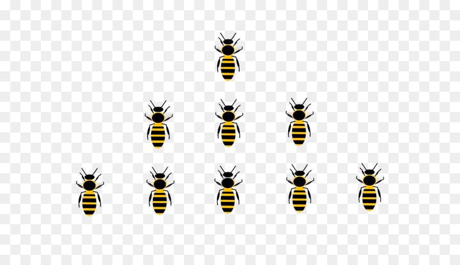 ong mật ong vàng mét chữ - 