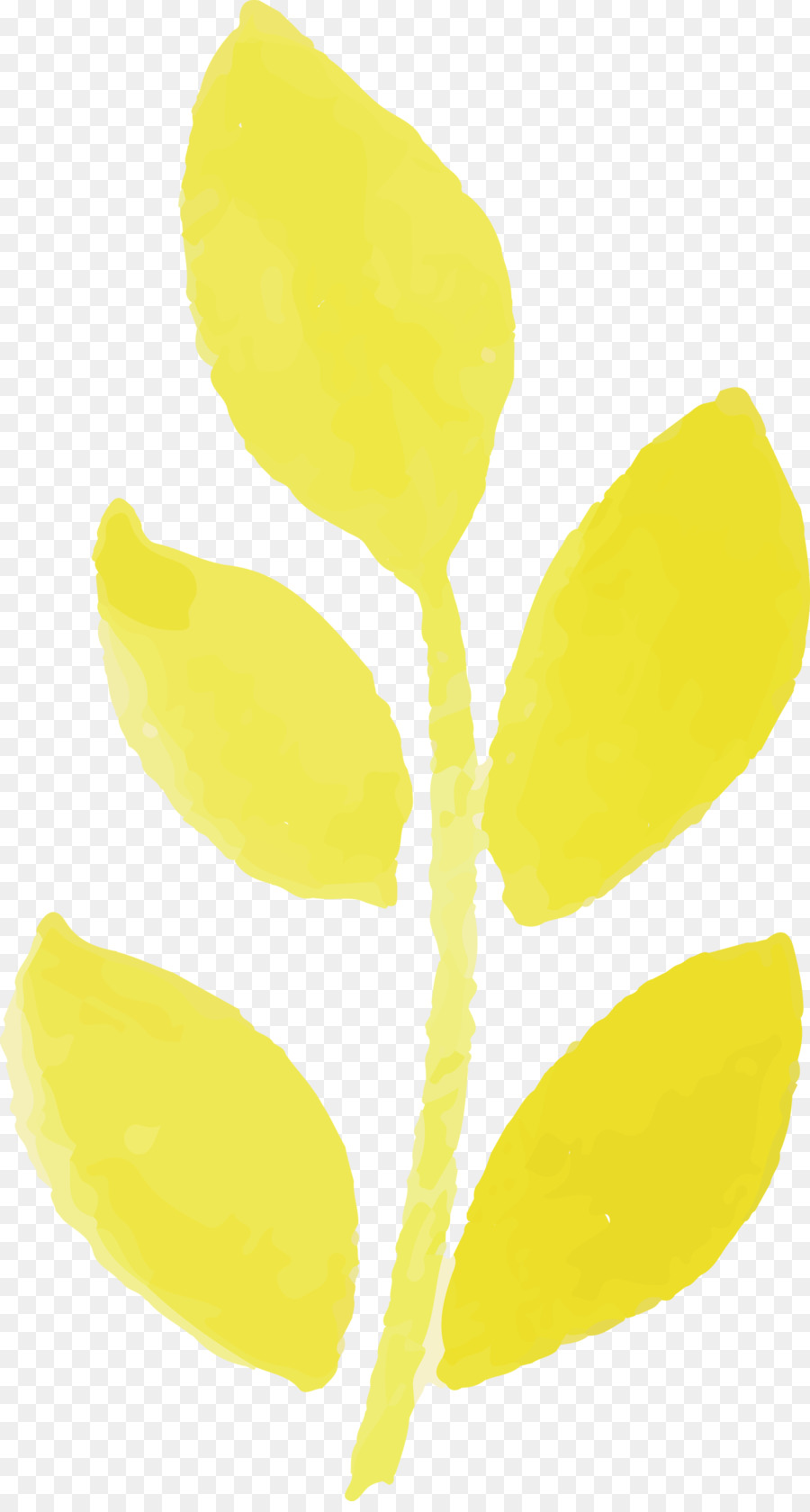 plant stem leaf gelb-Rohstoff Obst - 