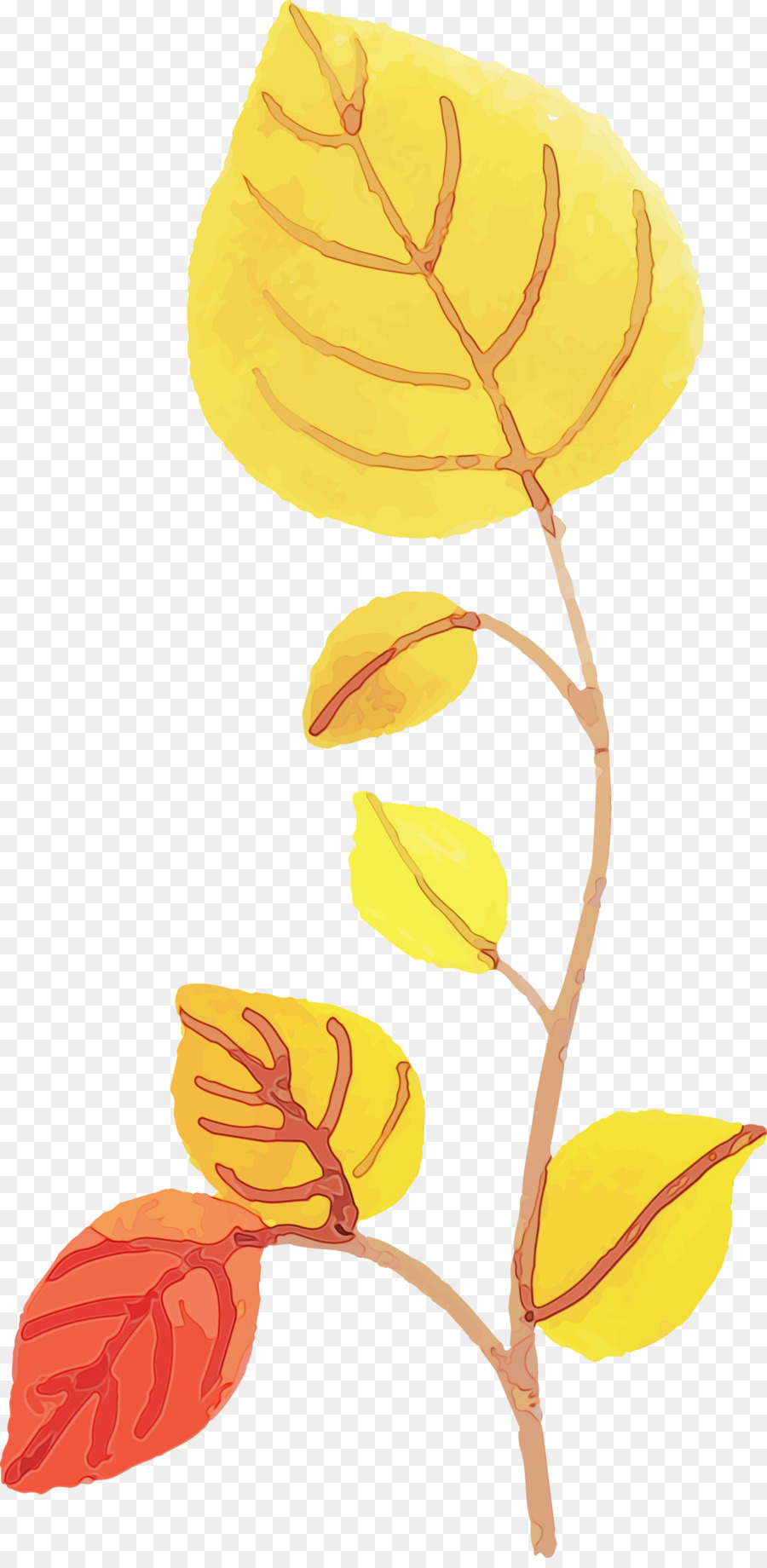 leaf yellow line science biology