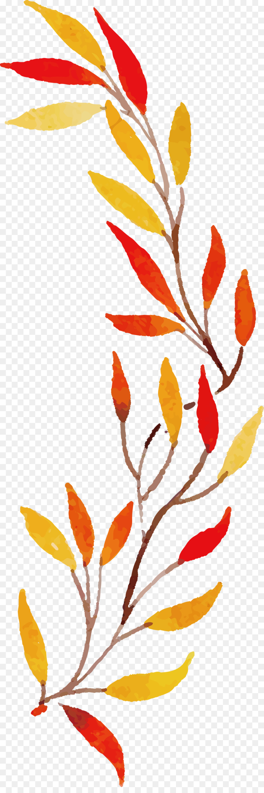 Foglia colorata foglia d'autunno - 