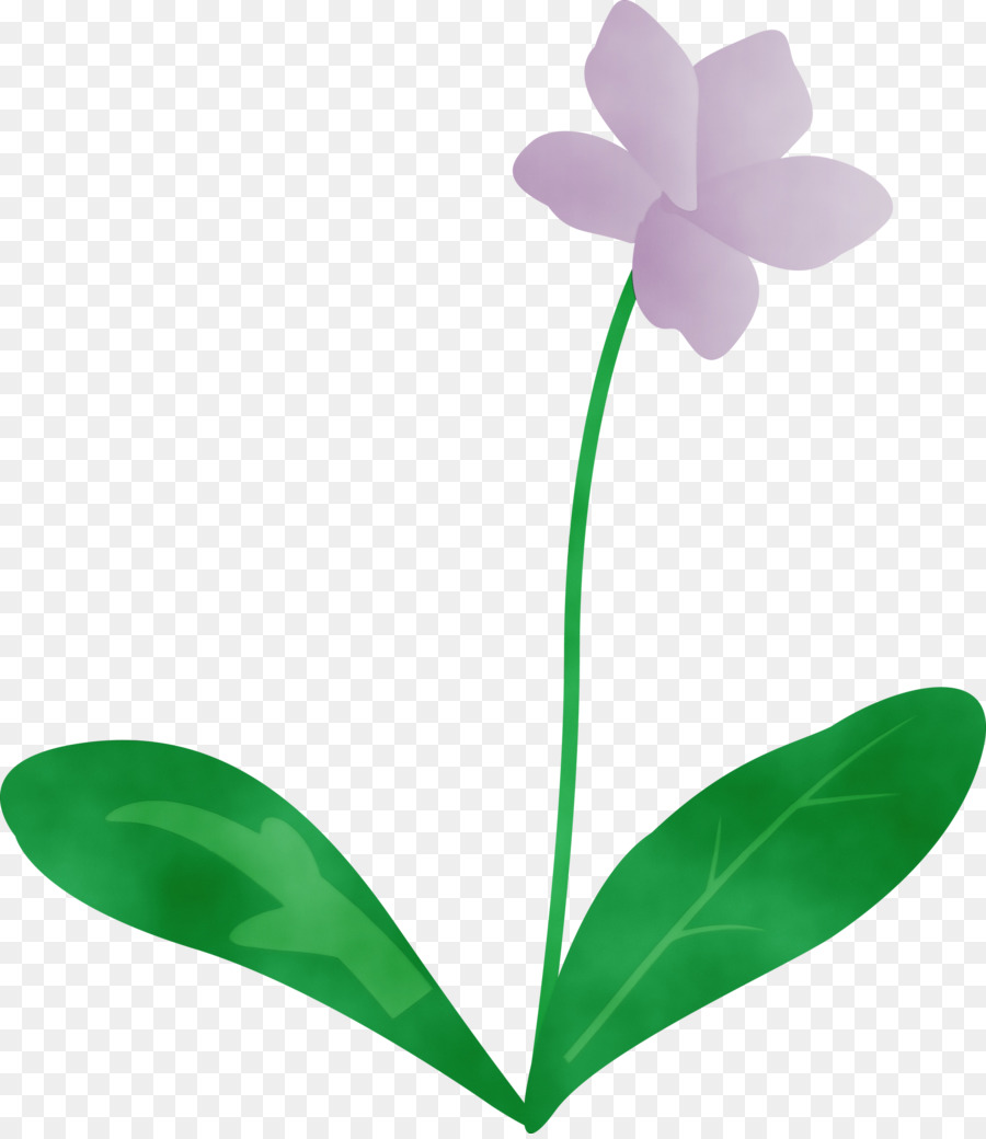 Pflanzenstamm Blütenblatt Motte Orchideen Blütenblatt - 