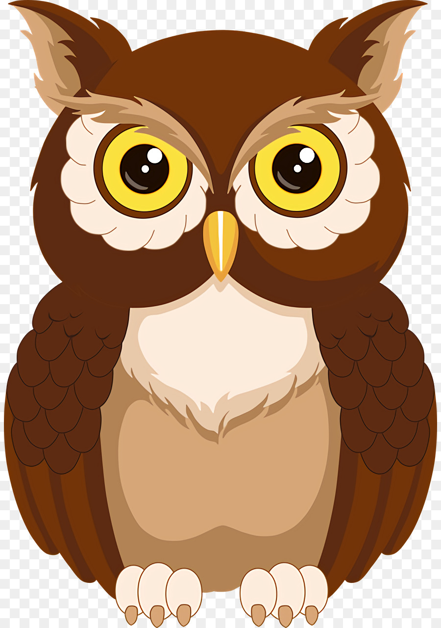 owls birds drawing owl cartoon png download - 884*1280 - Free Transparent  Owls png Download. - CleanPNG / KissPNG
