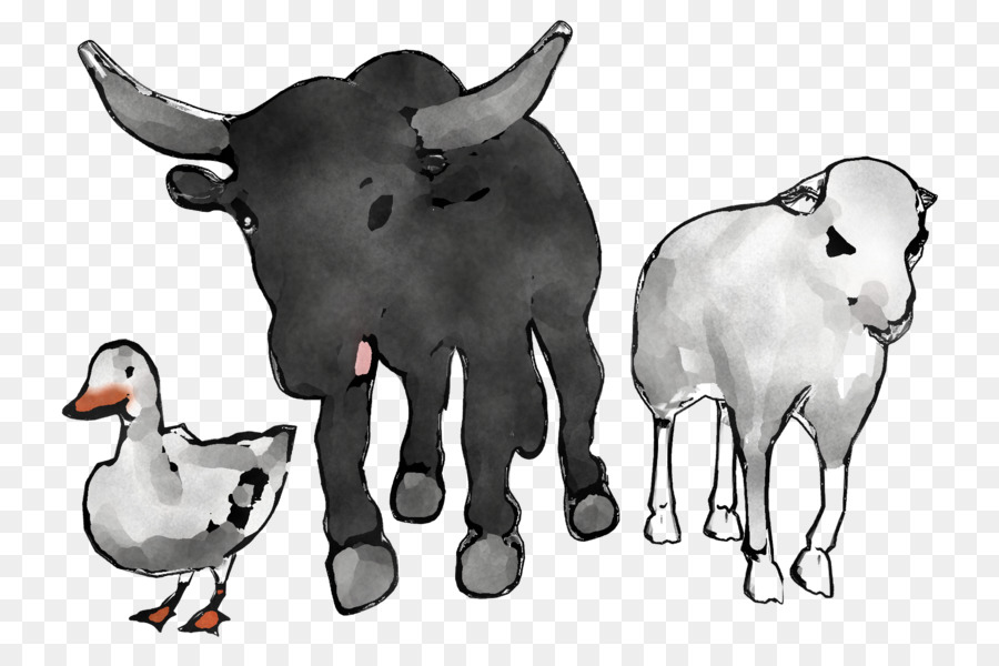 sheep zebu goat ox dairy cattle