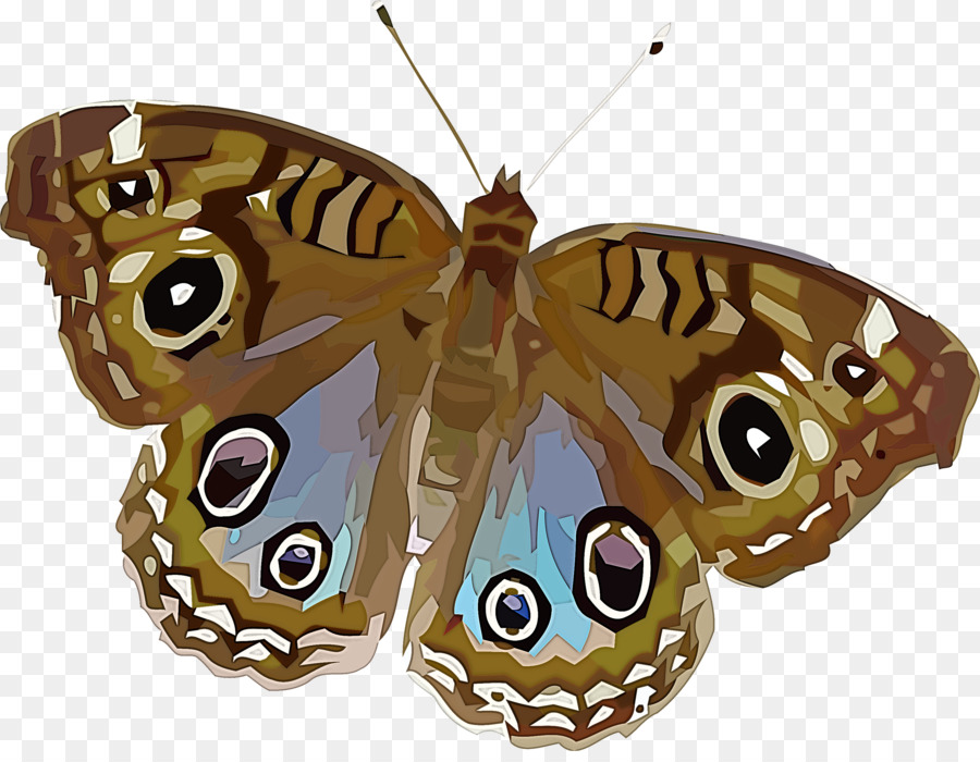 Farfalla monarca - 