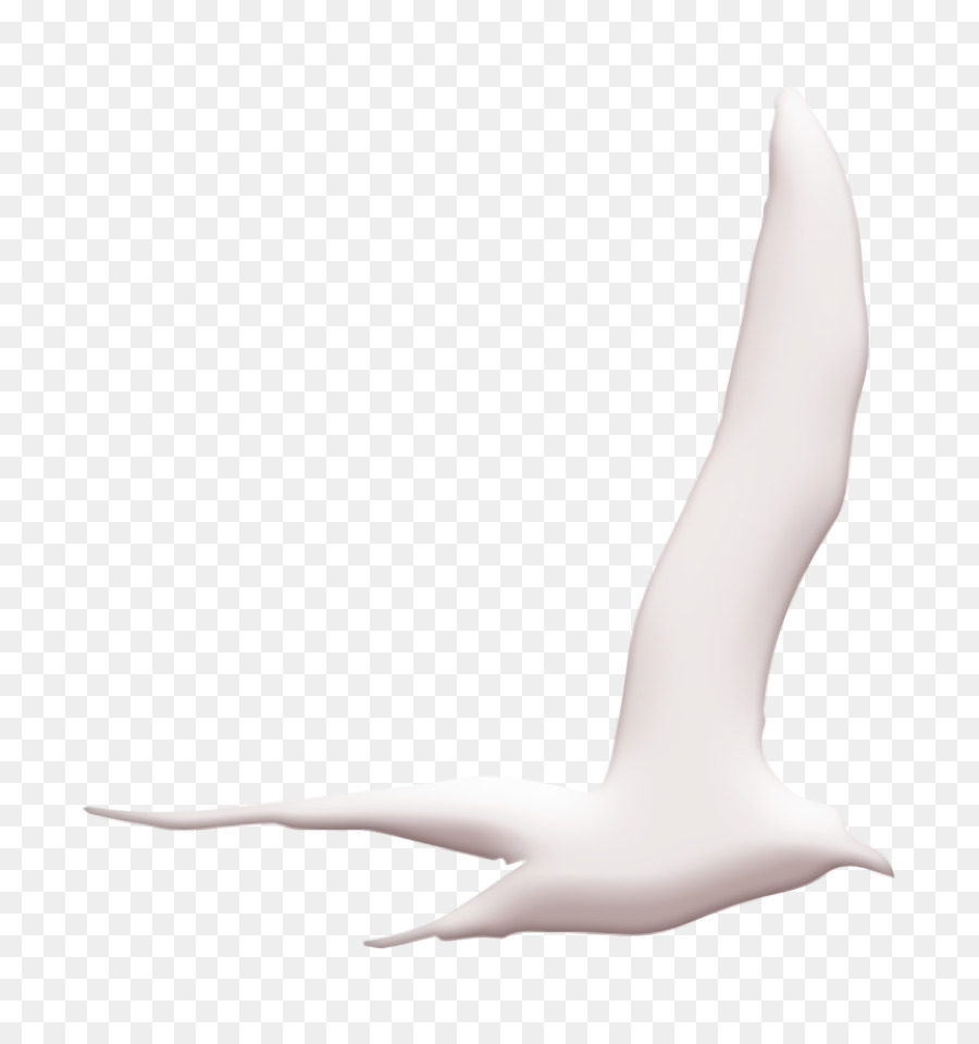 Icona dell'uccello Icona di forma di volo dell'uccello di gabbiano Icona del regno animale - 