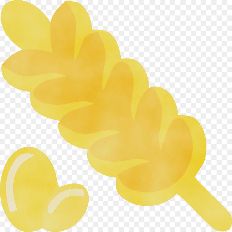 petal flower yellow