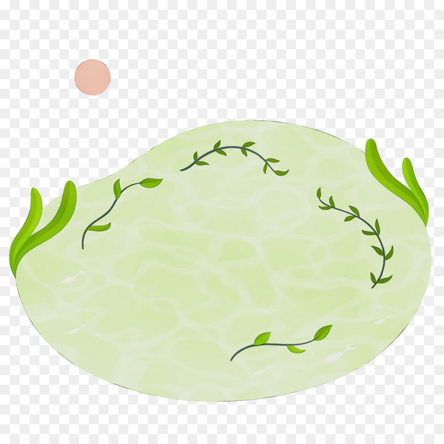 platter leaf oval green science