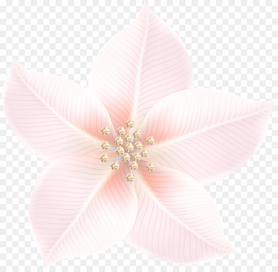 Blüten Blume - 