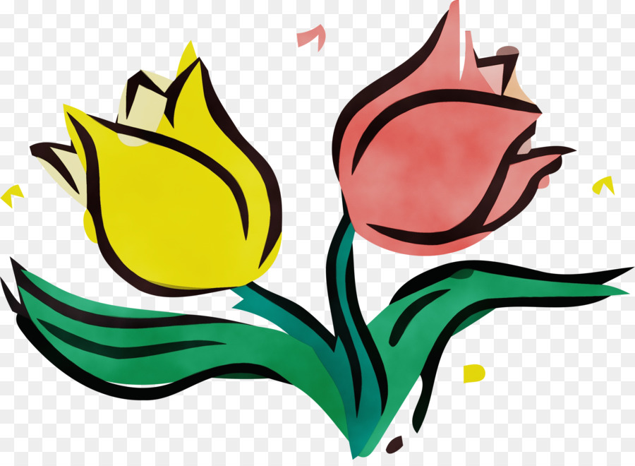 foglia pianta stelo fiori recisi tulipano petalo - 
