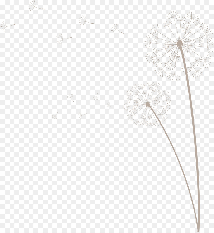 Blütenpflanzenstamm Schwarz-Weiß-Baumflora - 
