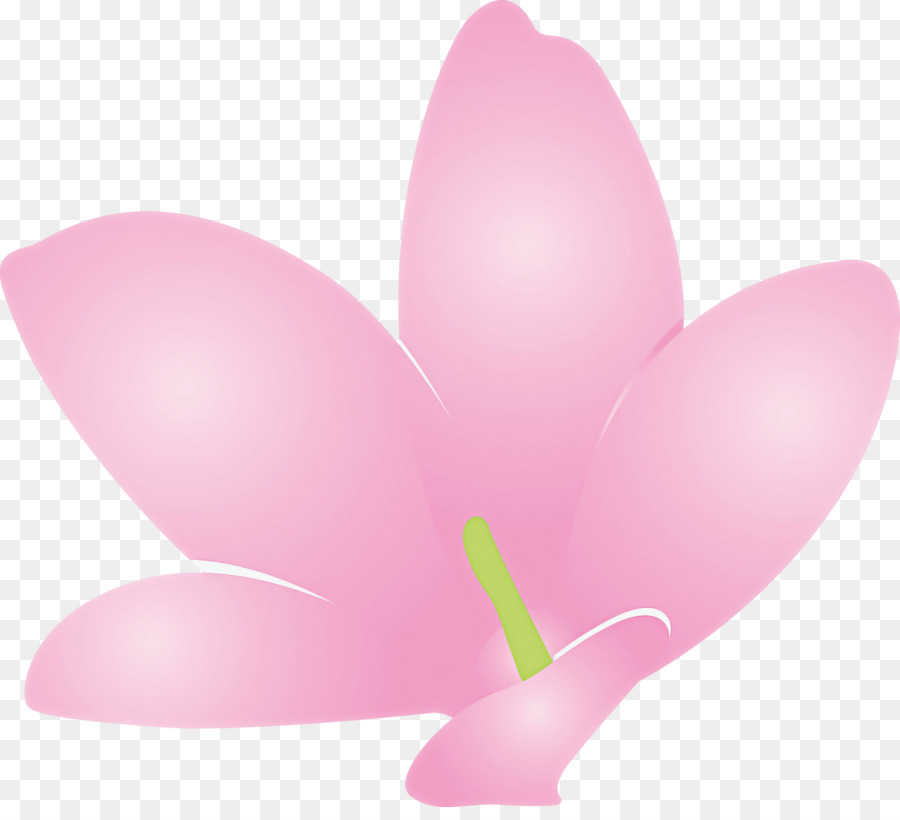 jasmine jasmine flower