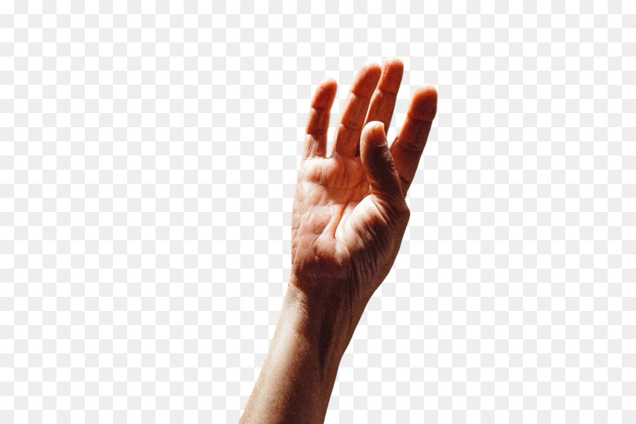 sign language hand model joint language hand