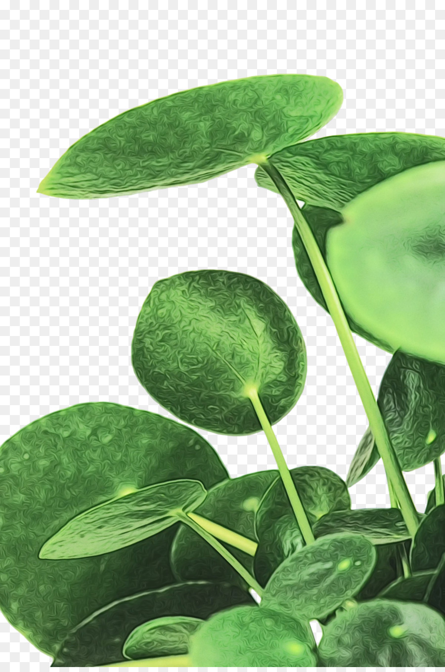 biologia delle piante verdi del gambo della pianta della foglia - 