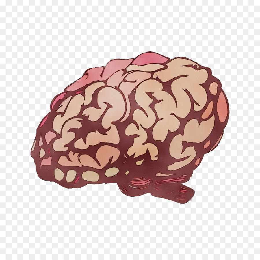 brain m-brain maroon mind