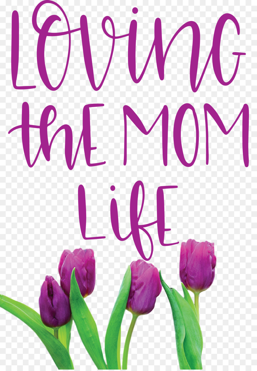 Festa della mamma Festa della mamma Citazione amare la vita della mamma - 