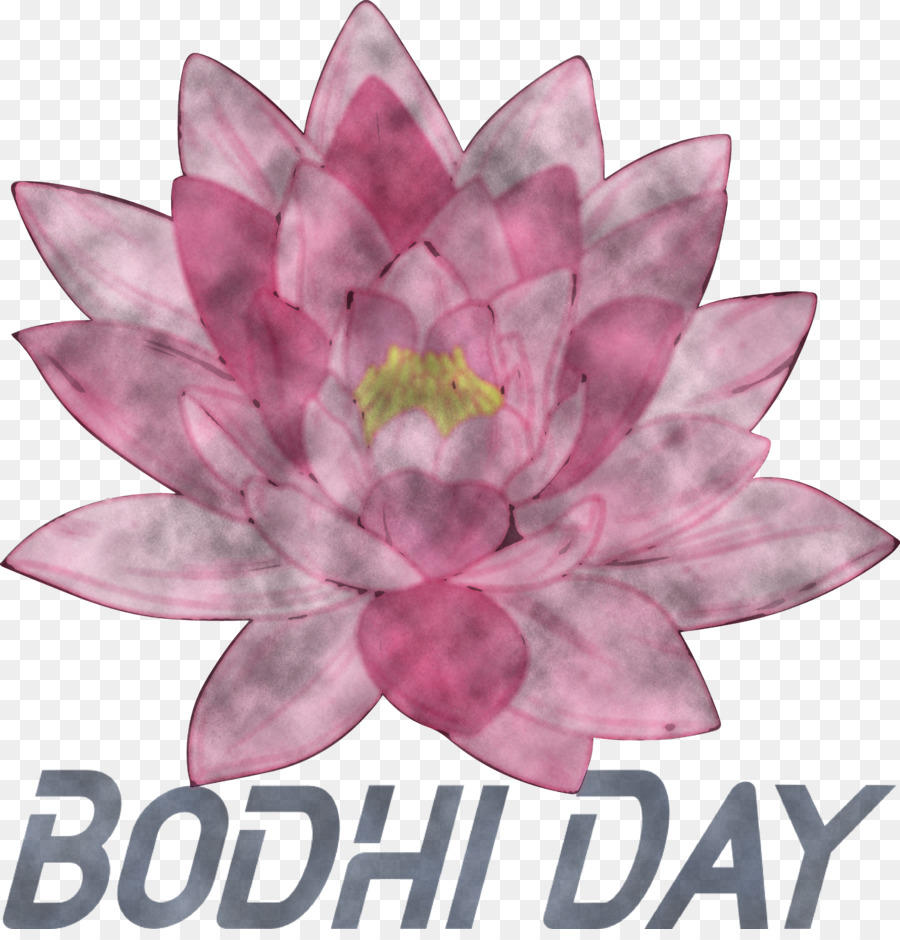 bodhi day bodhi