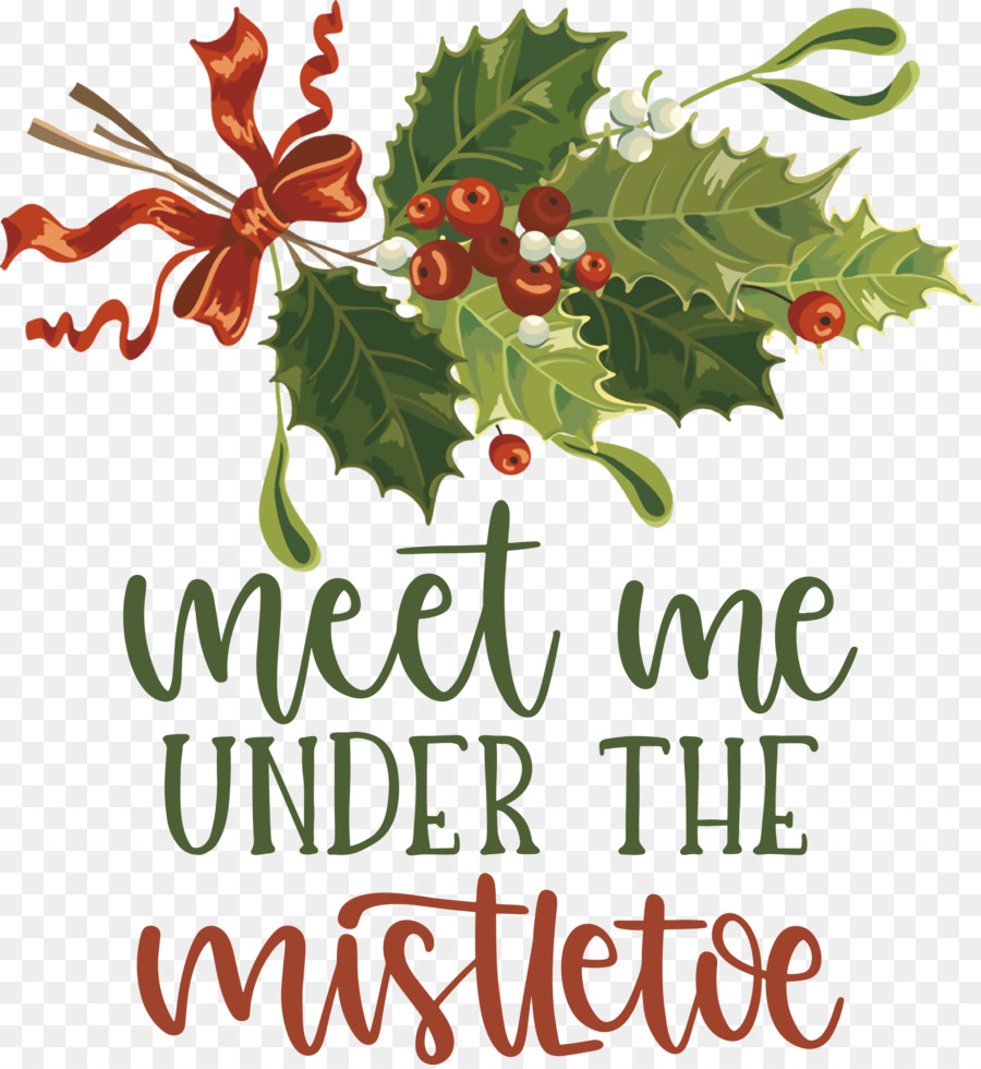 Meet Me Under The Mistletoe Mistletoe