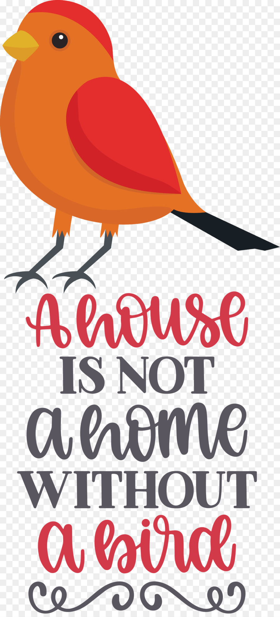 Bird Quote Bird Home - 