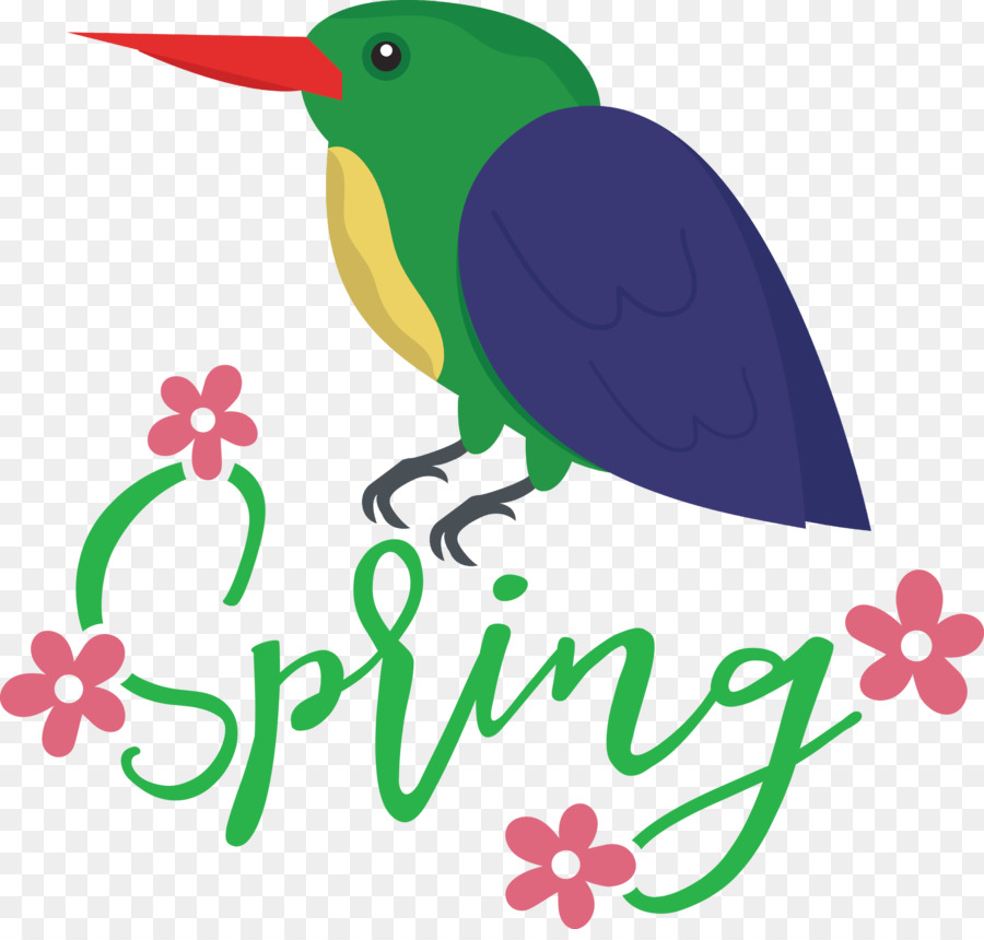primavera uccello - 