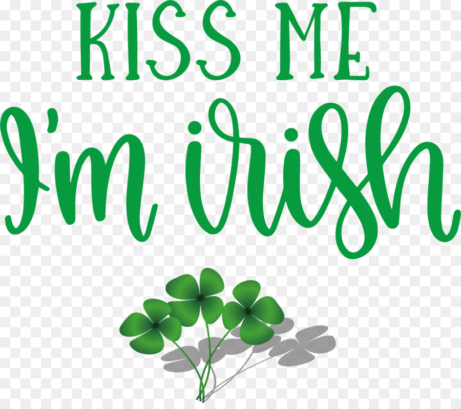 Saint Patrick Patricks Day Kiss Me