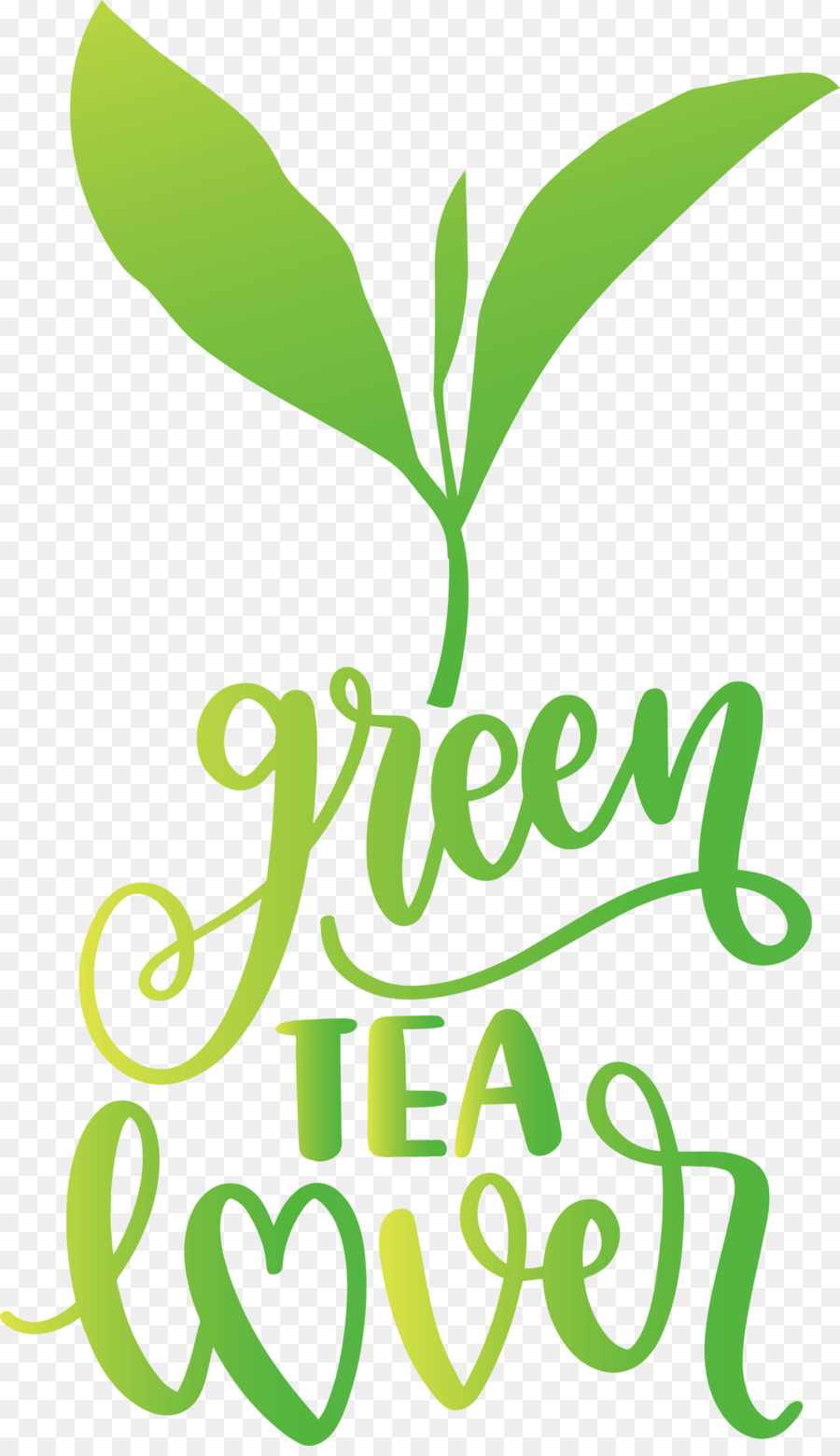Tè amante del tè verde - 