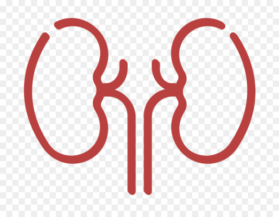 Medical icon Kidney icon