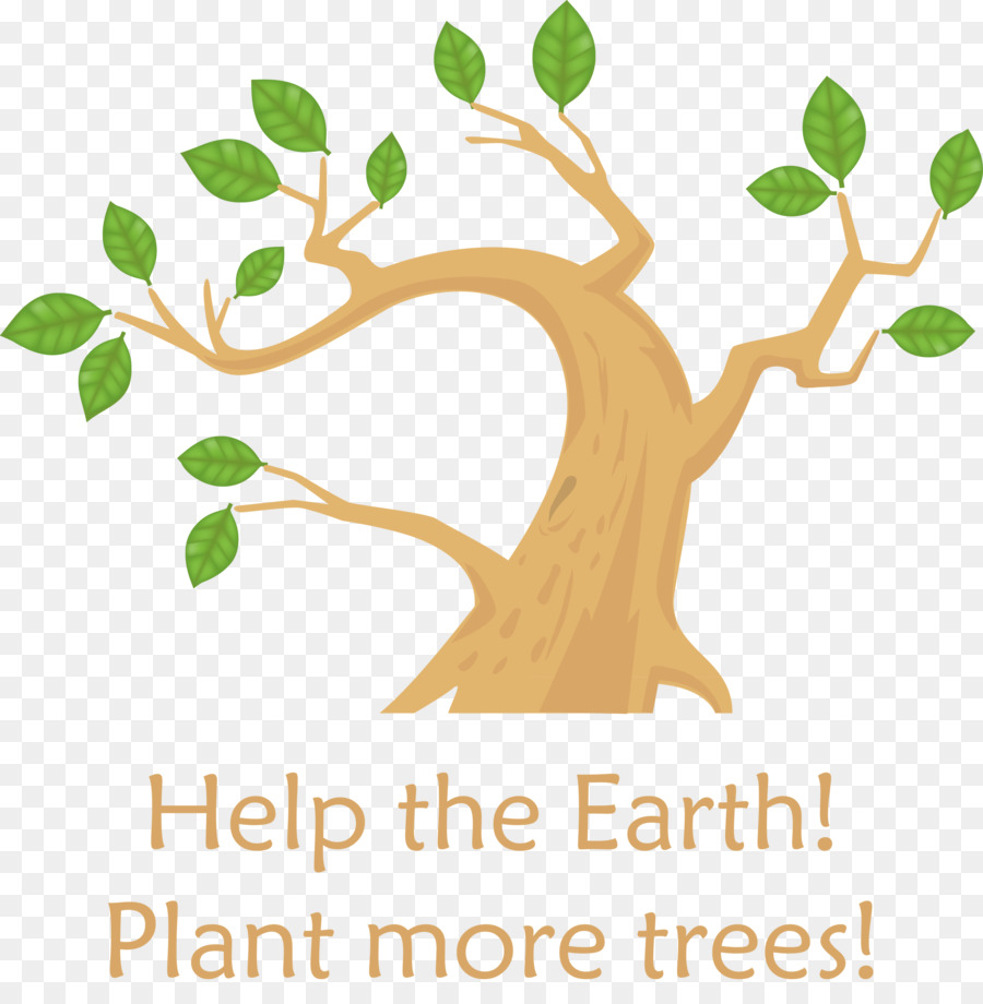 Piantare alberi pergolato giorno terra - 