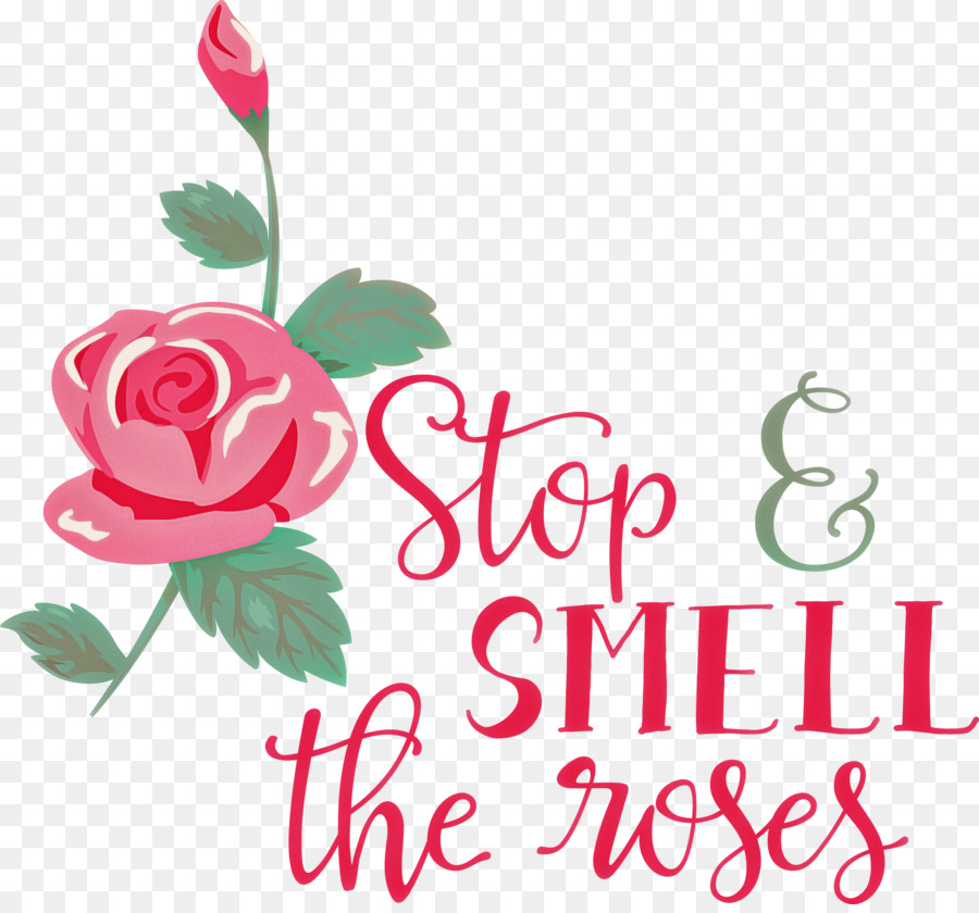 Rose Stoppen Sie und riechen Sie die Rosen - 