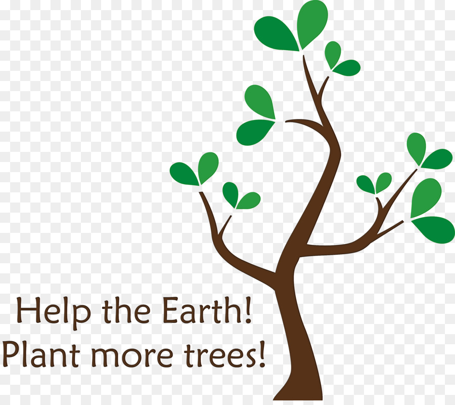 Pianta alberi arbor day earth - 