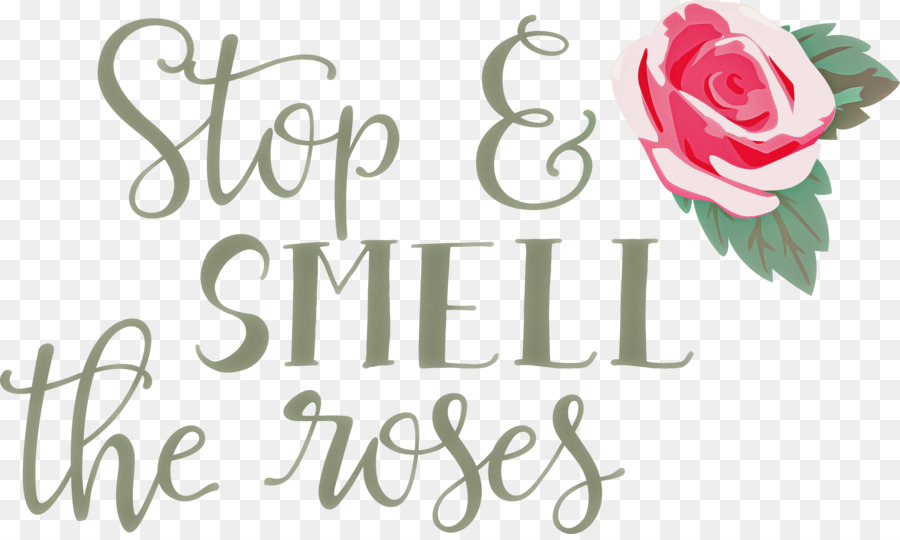 Rose Stoppen Sie und riechen Sie die Rosen - 