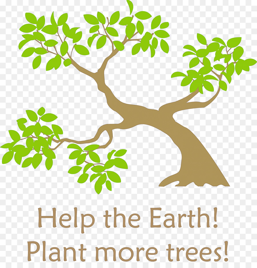 Pflanzen Sie Bäume Laub Tag Erde - 