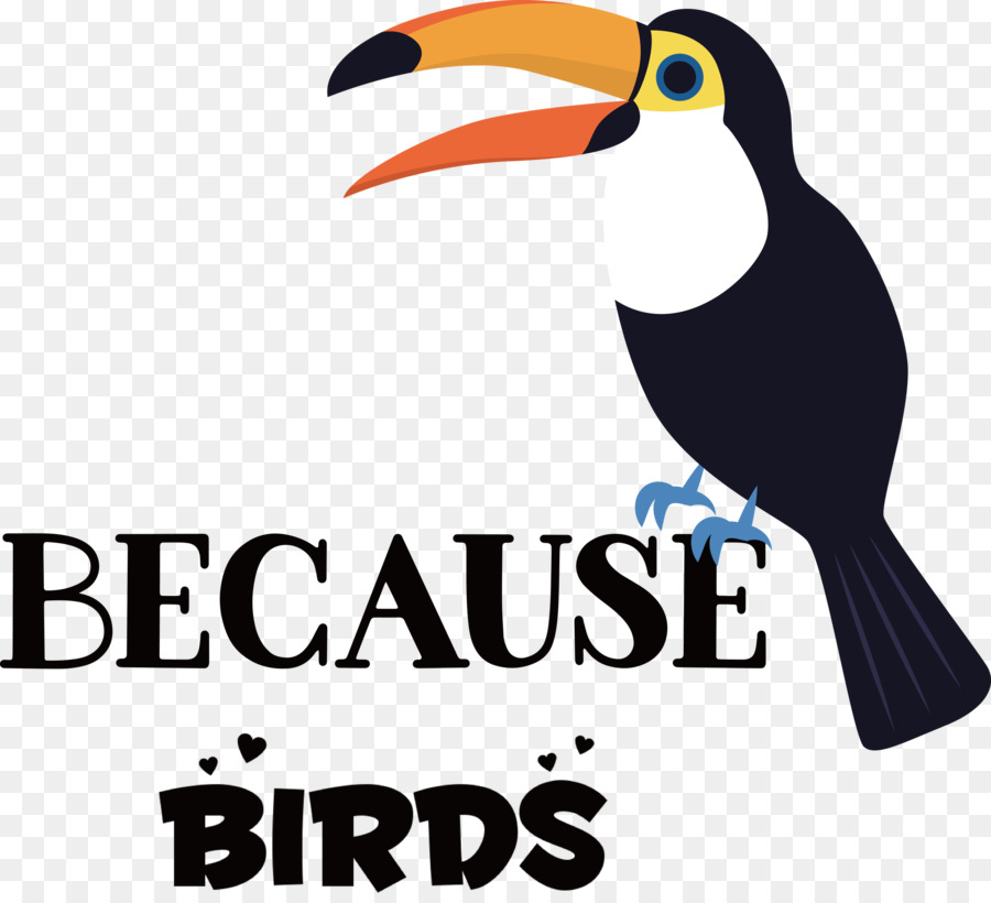 Because Birds Bird Animal