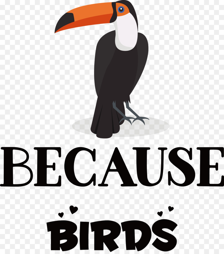 Because Birds Bird Animal