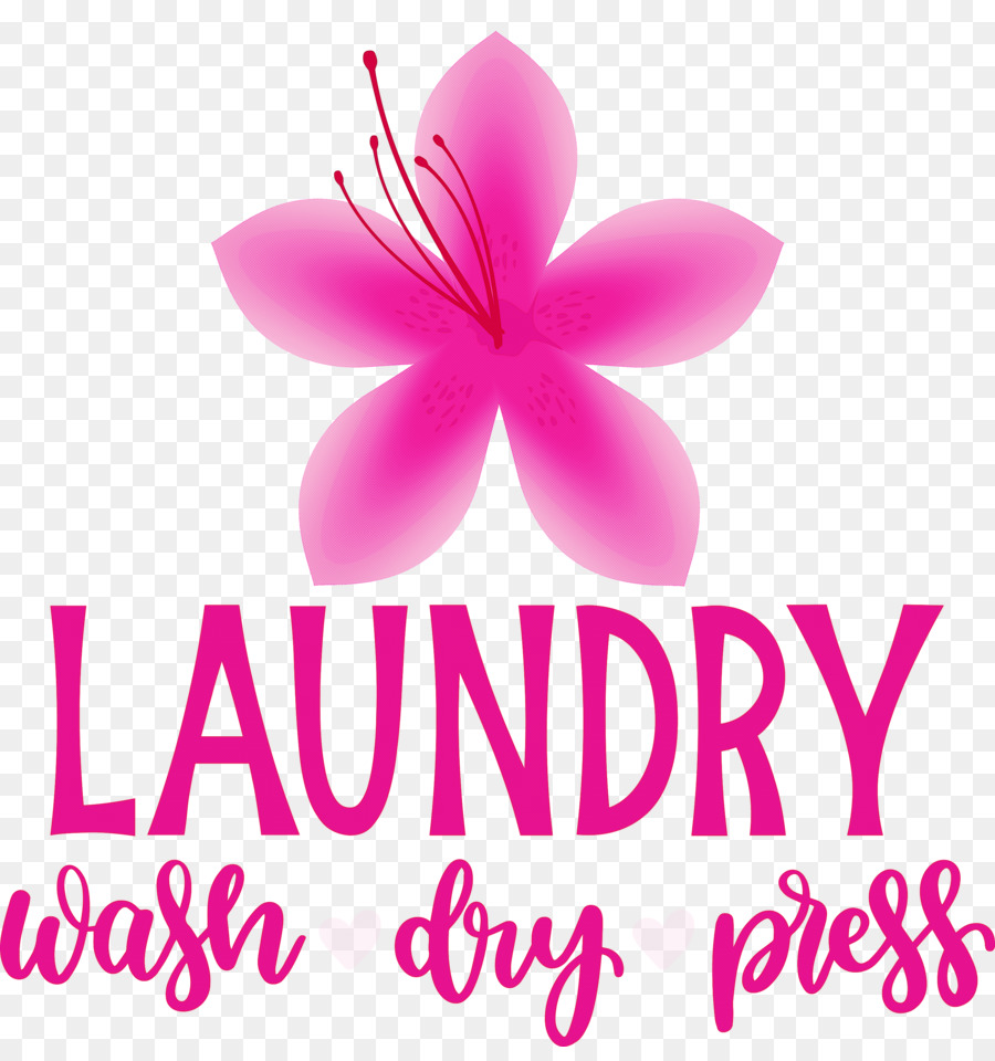Laundry Wash Dry