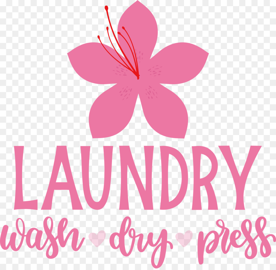 Wäsche trocken waschen - 