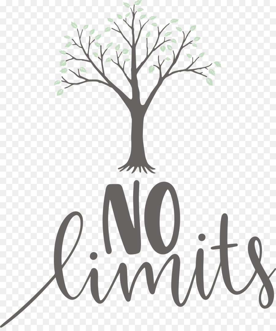 No Limits Dream Future